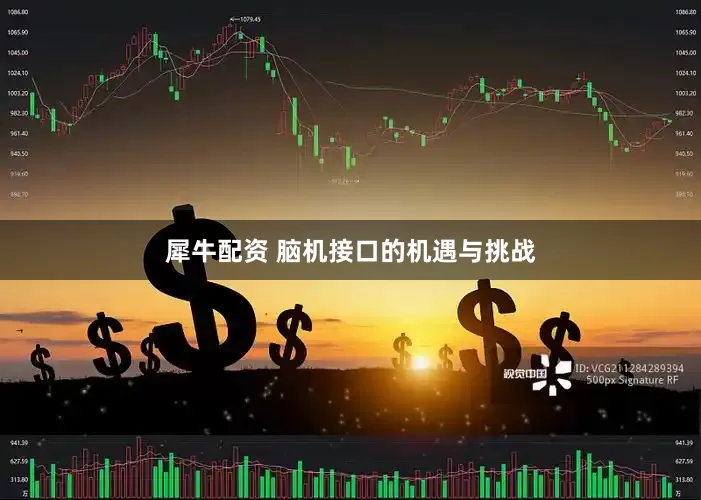 犀牛配资 脑机接口的机遇与挑战
