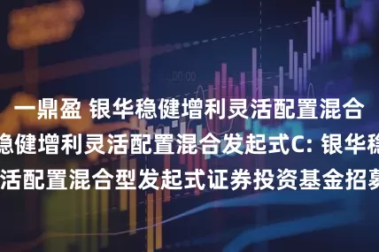 一鼎盈 银华稳健增利灵活配置混合发起式A,银华稳健增利灵活配置混合发起式C: 银华稳健增利灵活配置混合型发起式证券投资基金招募说明书更新(2025年第1号)