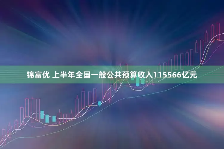 锦富优 上半年全国一般公共预算收入115566亿元