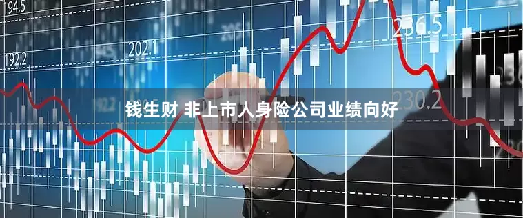 钱生财 非上市人身险公司业绩向好