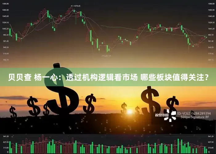 贝贝查 杨一心：透过机构逻辑看市场 哪些板块值得关注？