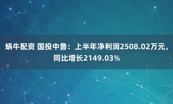 蜗牛配资 国投中鲁：上半年净利润2508.02万元，同比增长2149.03%